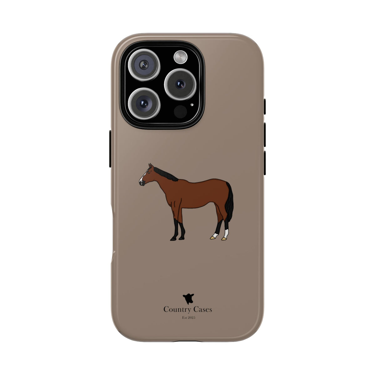 Bay Horse Case