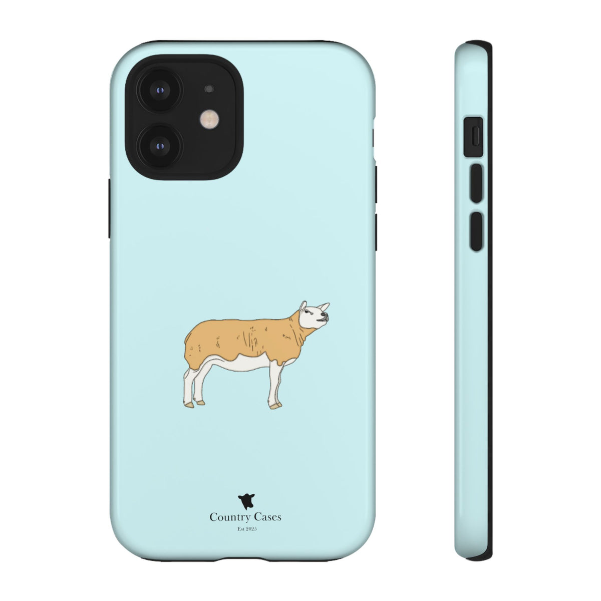 Texal Case