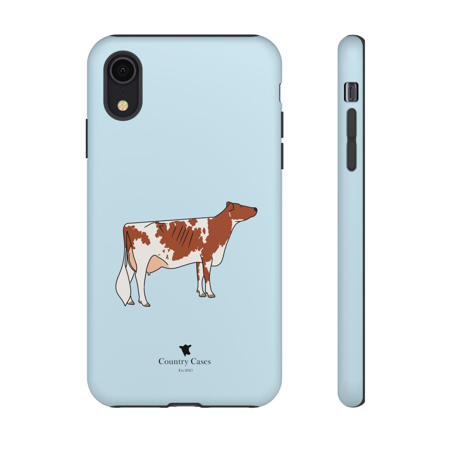 Ayrshire Case