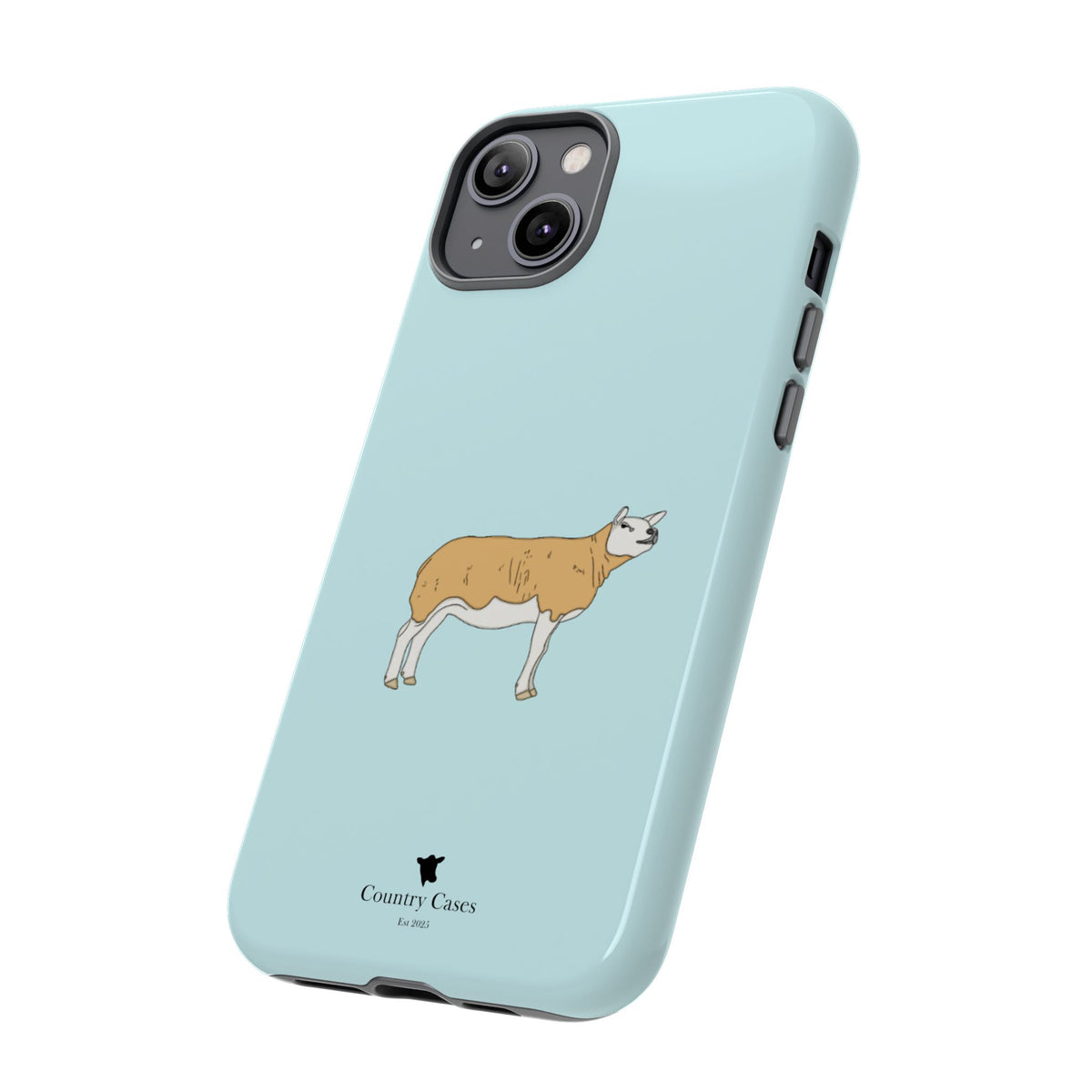 Texal Case