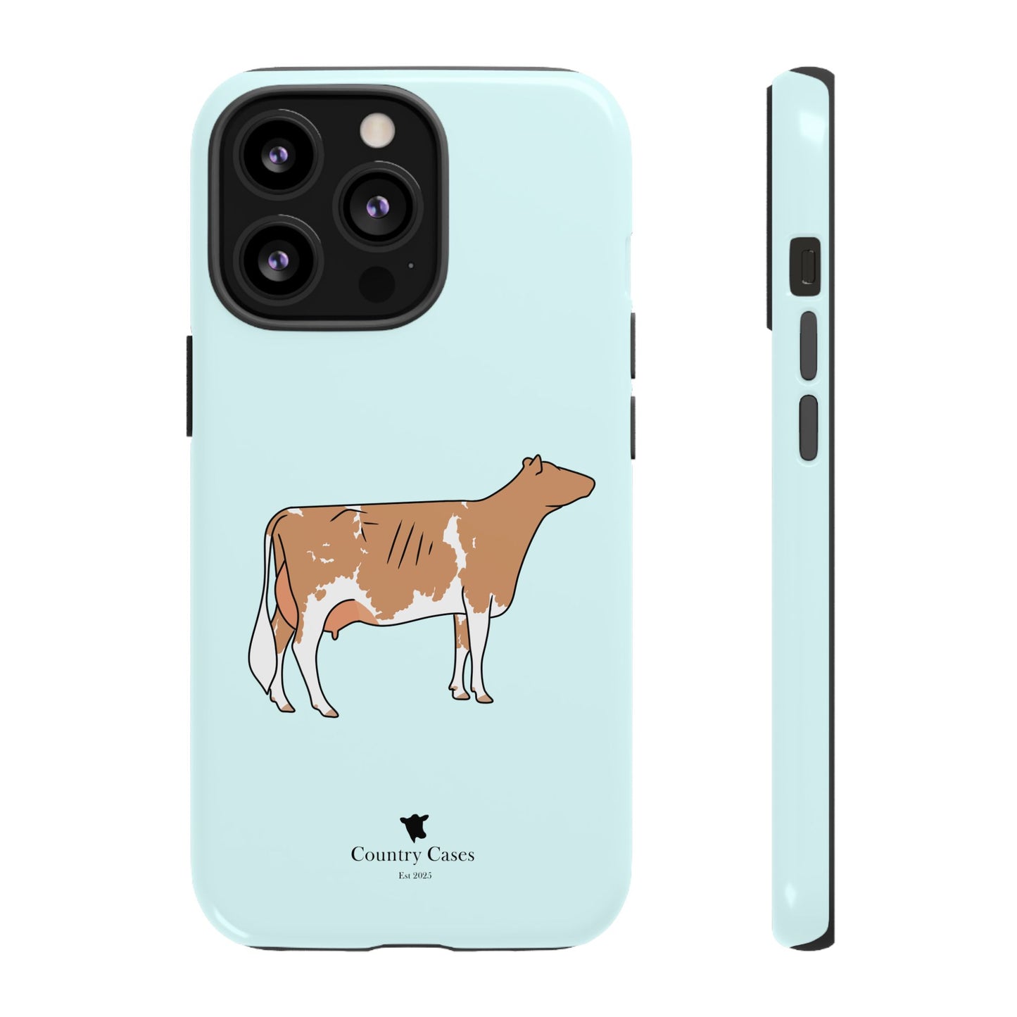 Gurnsey case