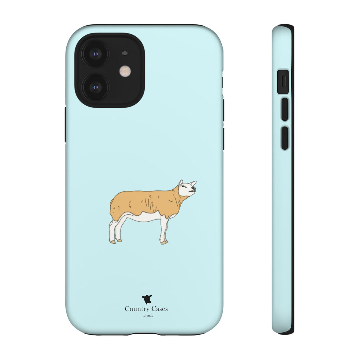 Texal Case
