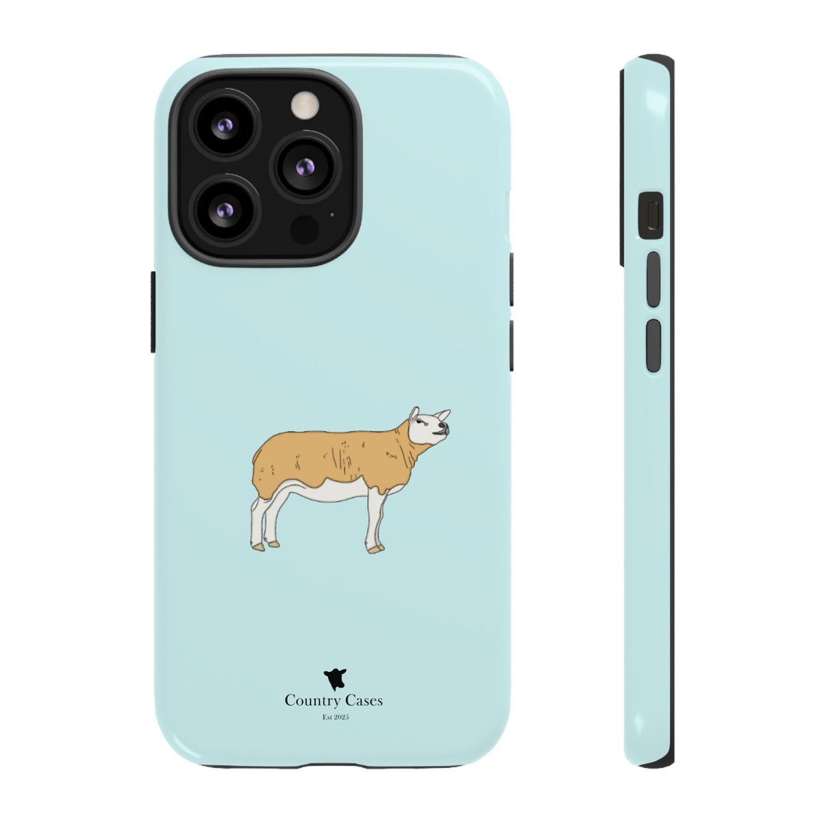 Texal Case