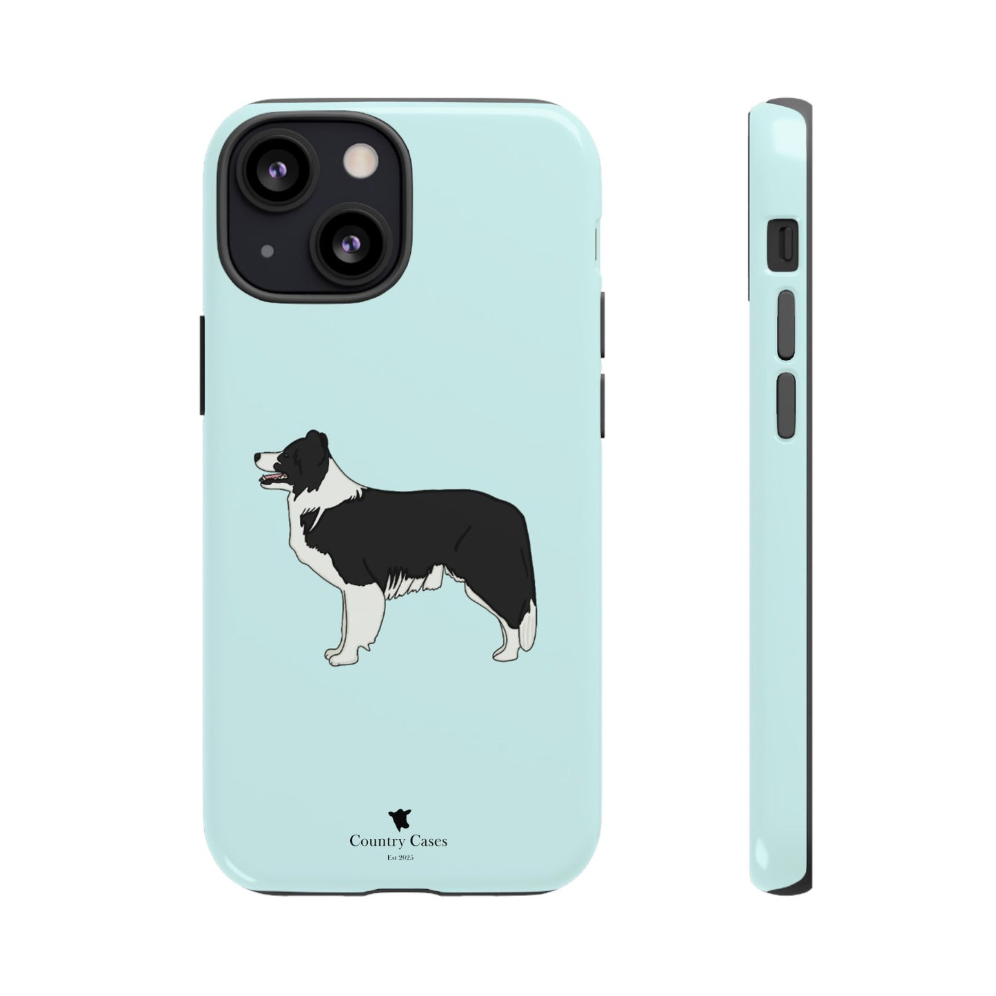 Collie case