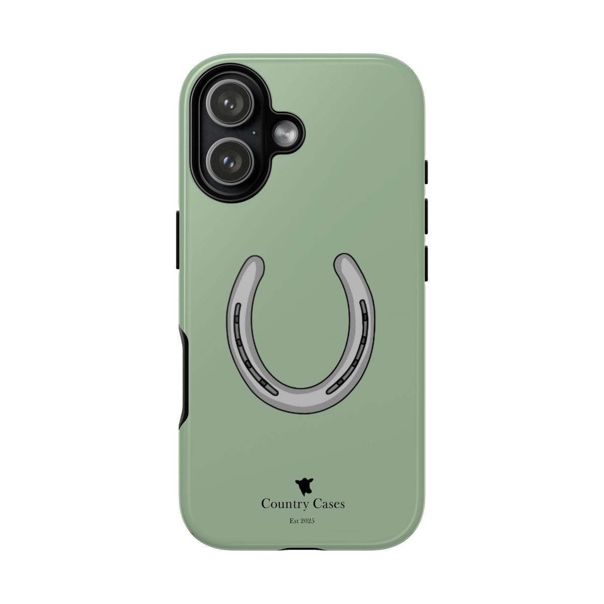 Horse Shoe Case