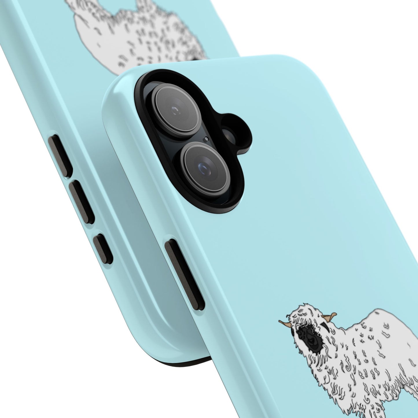 Valias blacknose sheep case