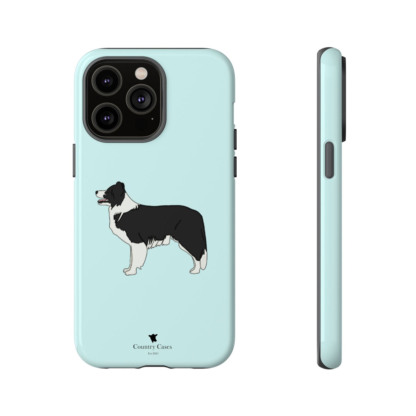 Collie case