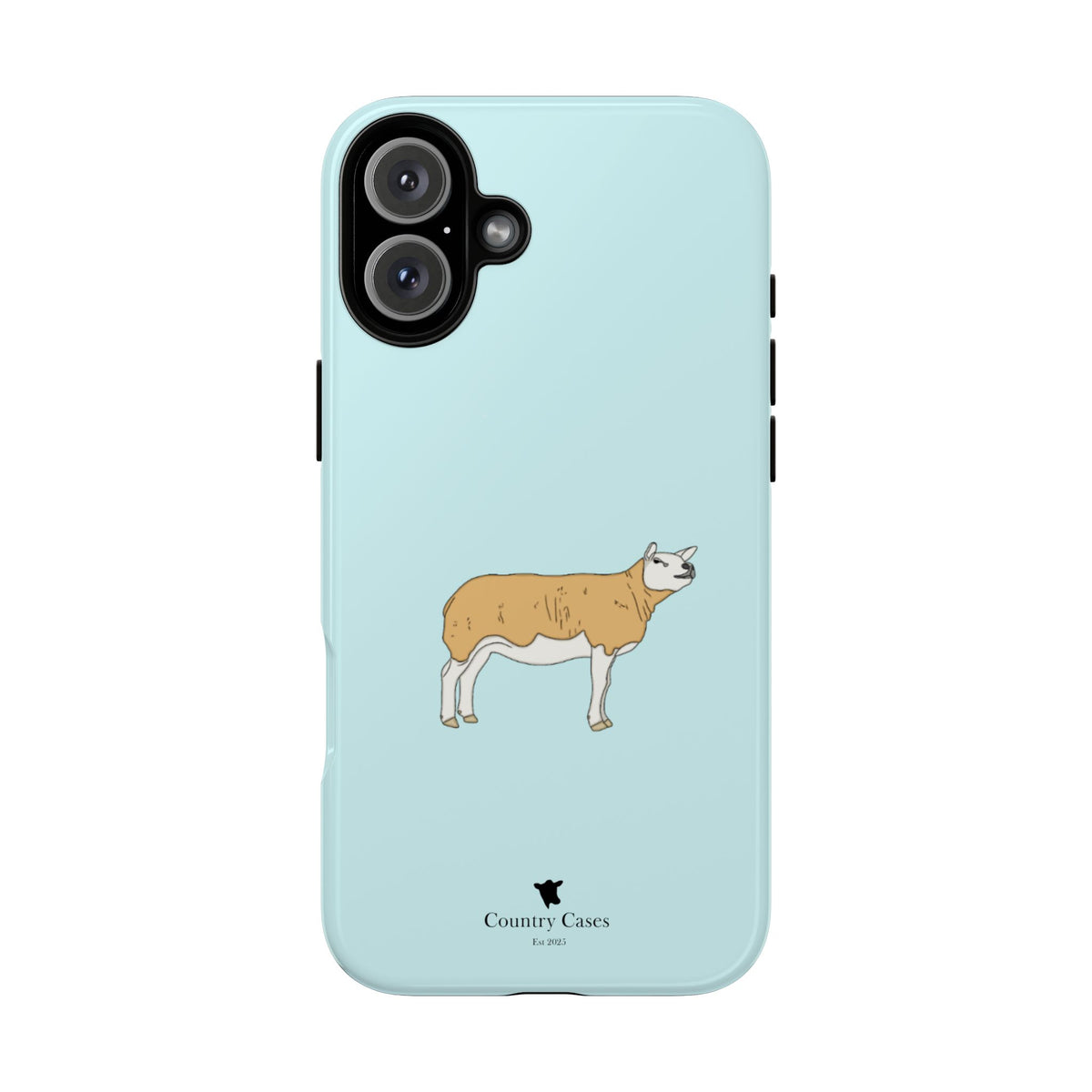 Texal Case