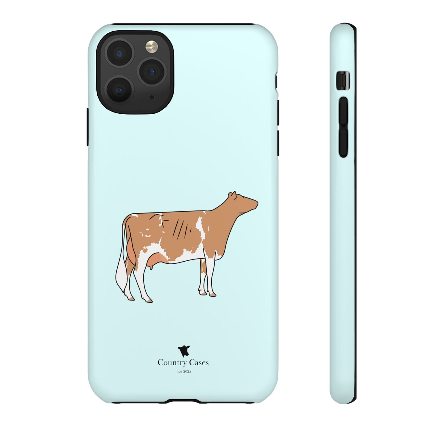 Gurnsey case