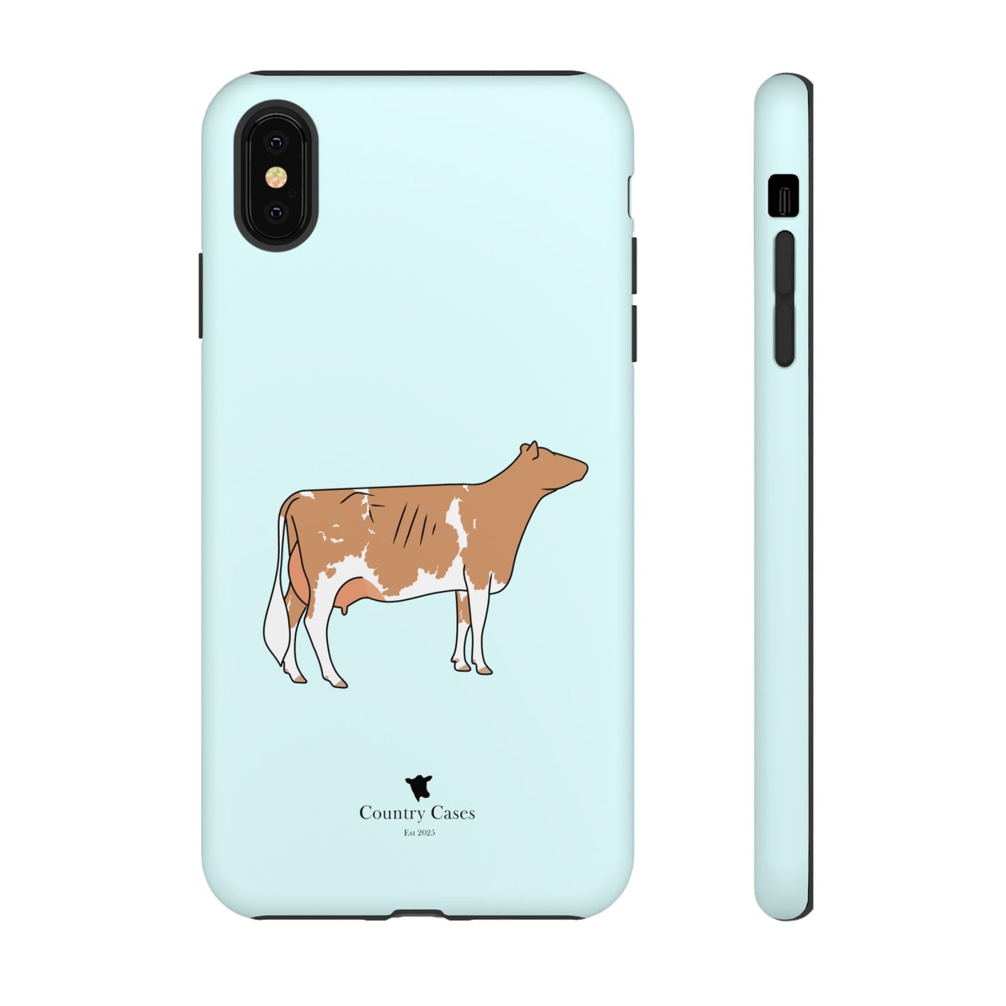 Gurnsey case