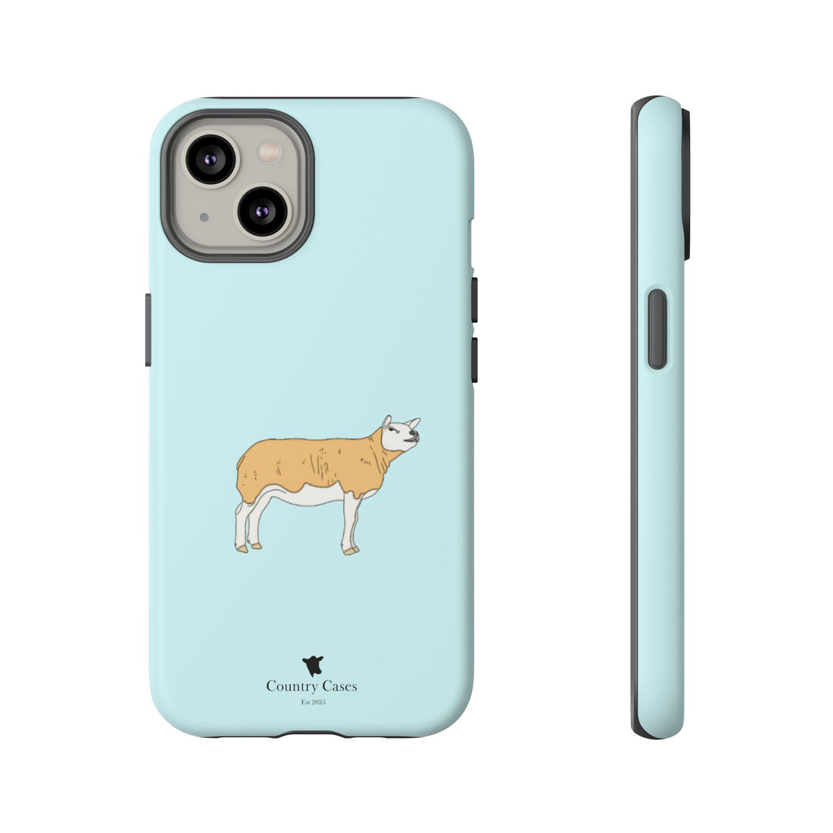 Texal Case