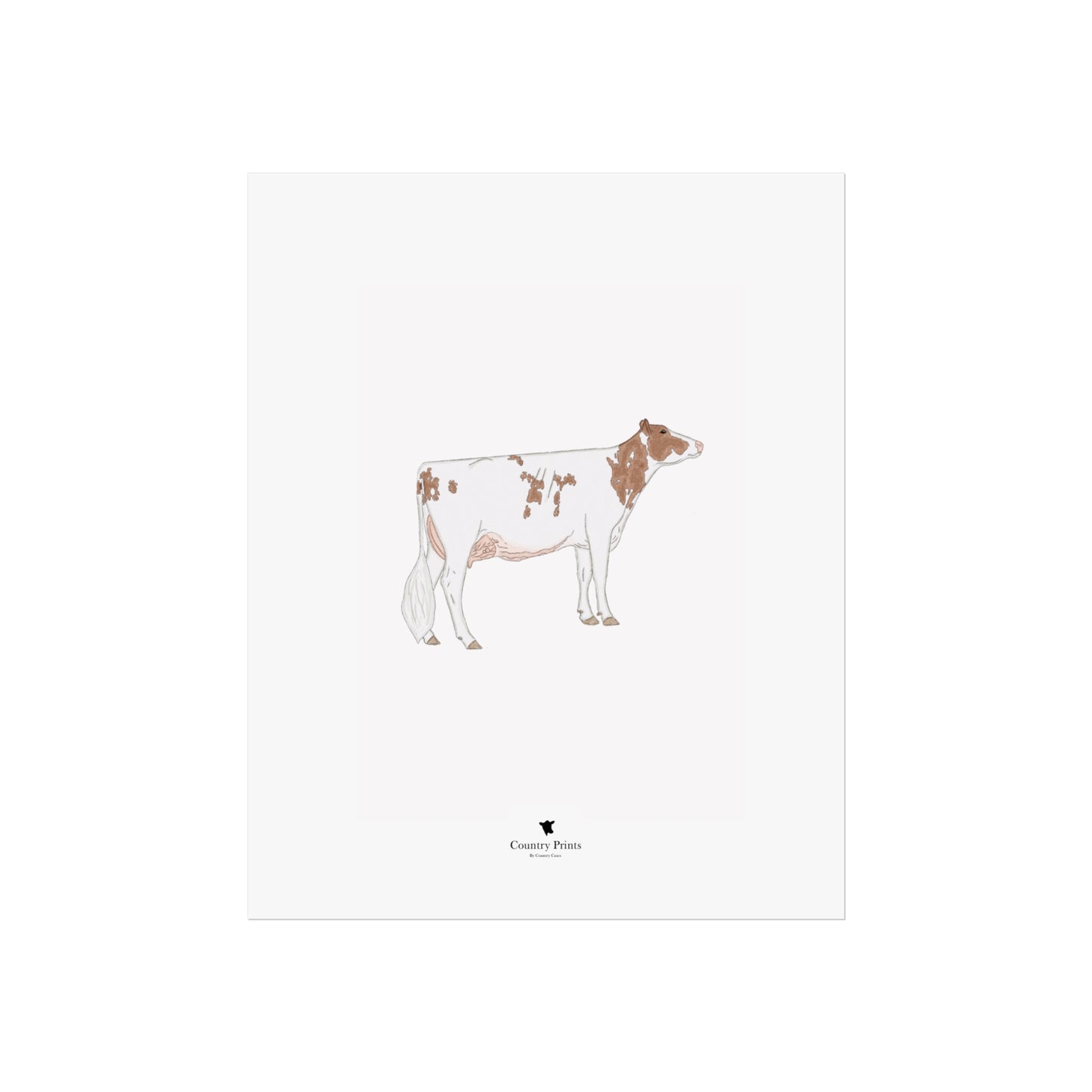Red Holstein art print