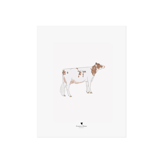 Red Holstein art print