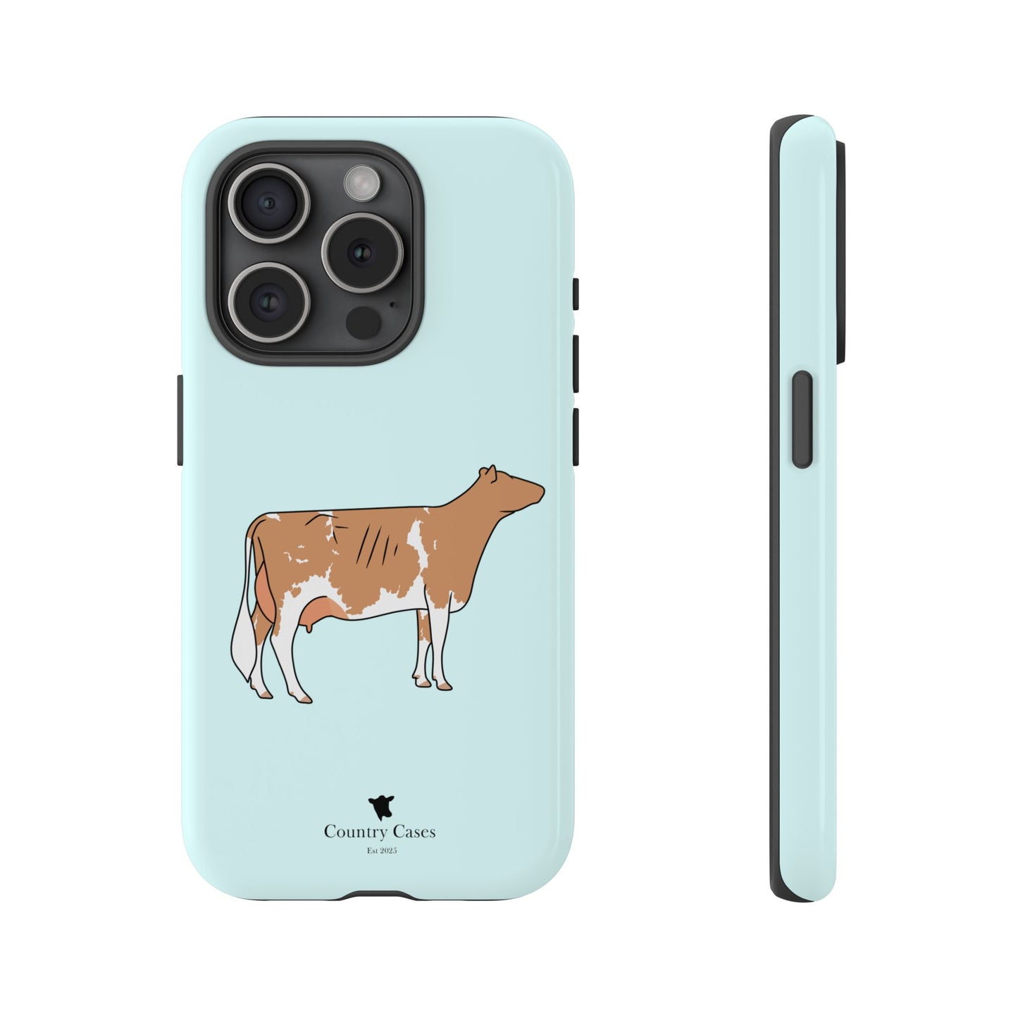 Gurnsey case
