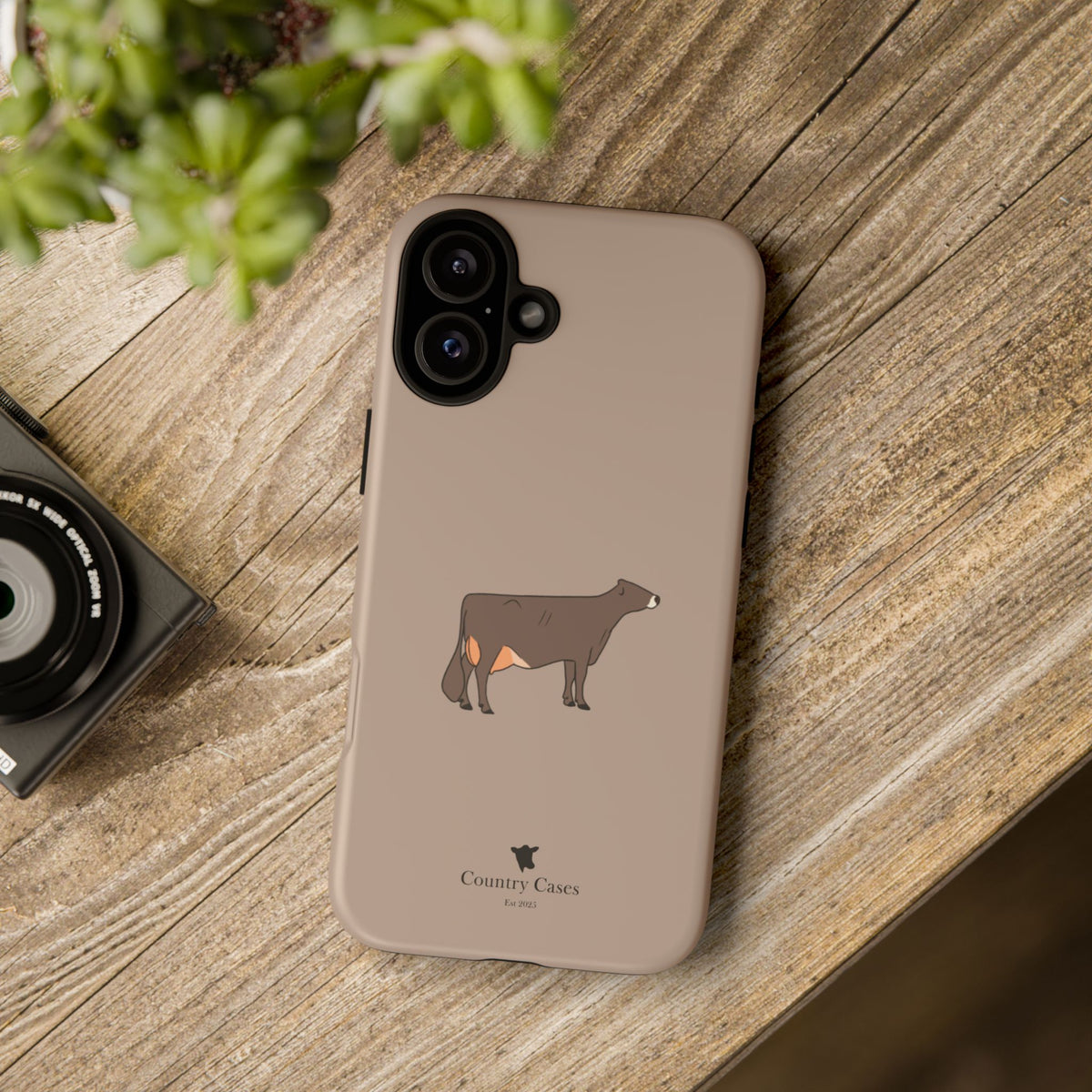 Brown Swiss Case