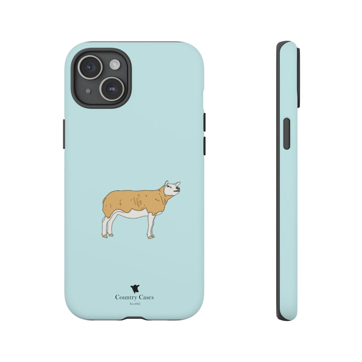 Texal Case