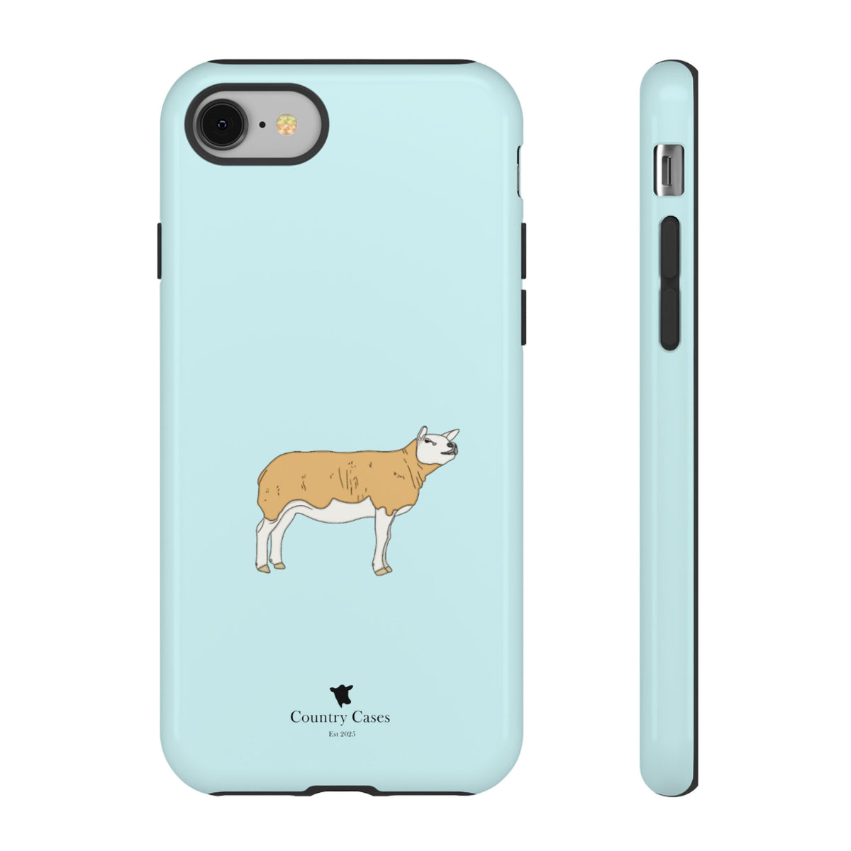 Texal Case