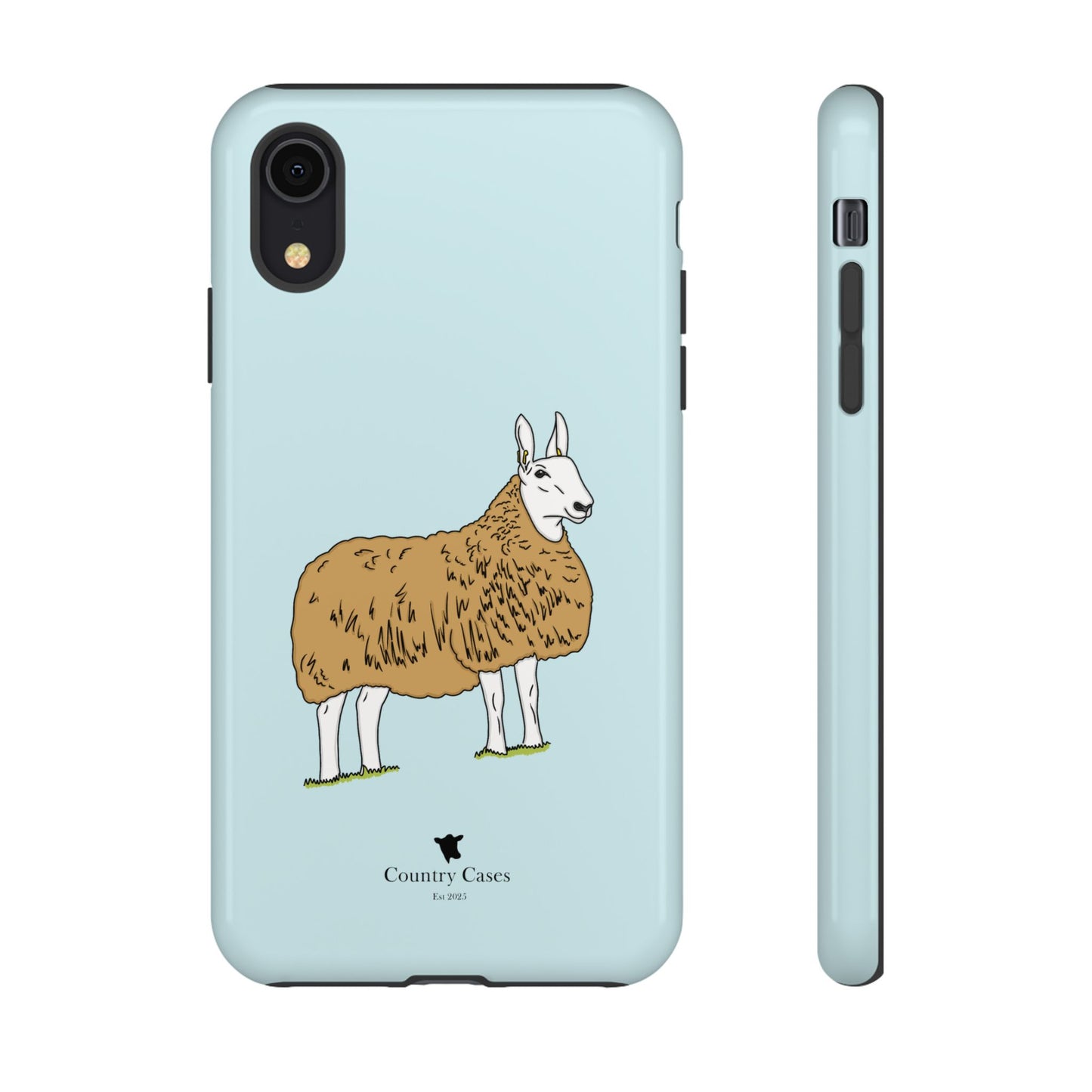 Border Leicester case