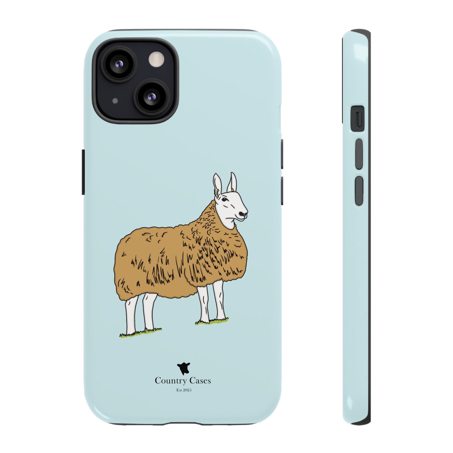 Border Leicester case