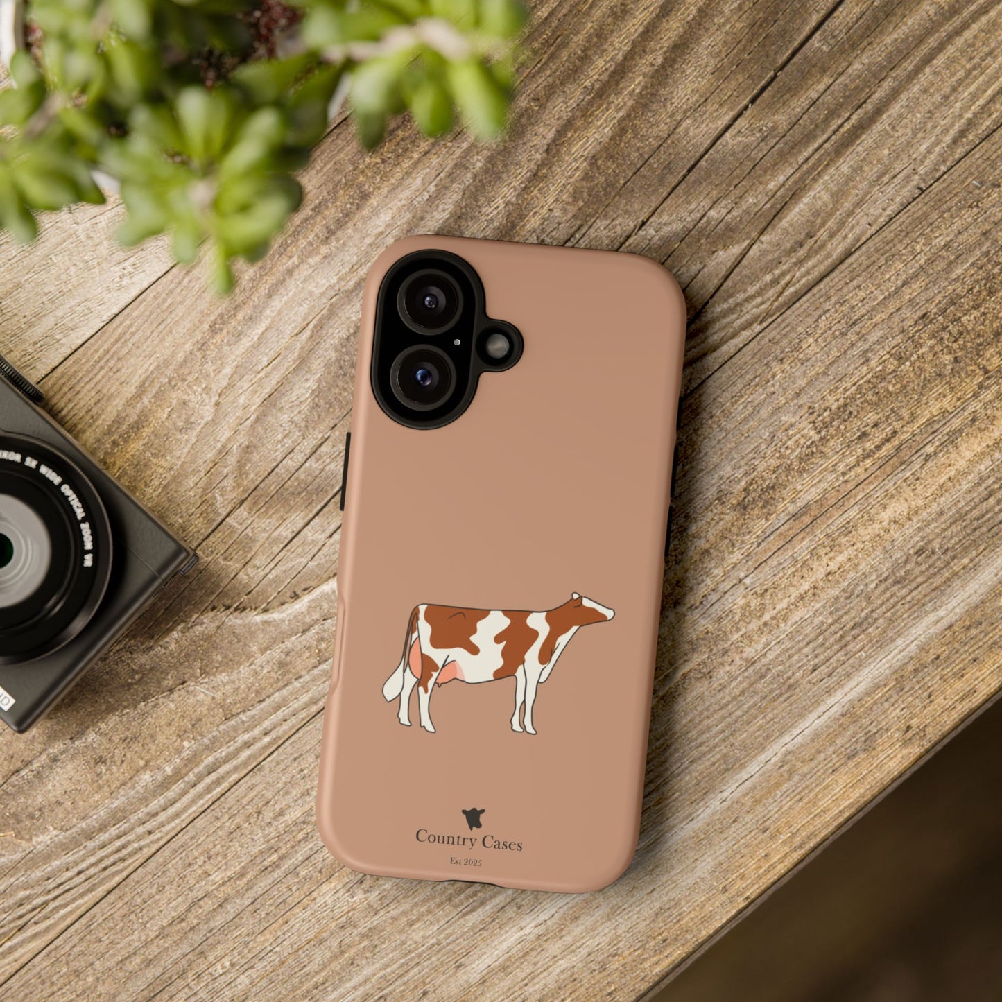 Red and white Holstein case