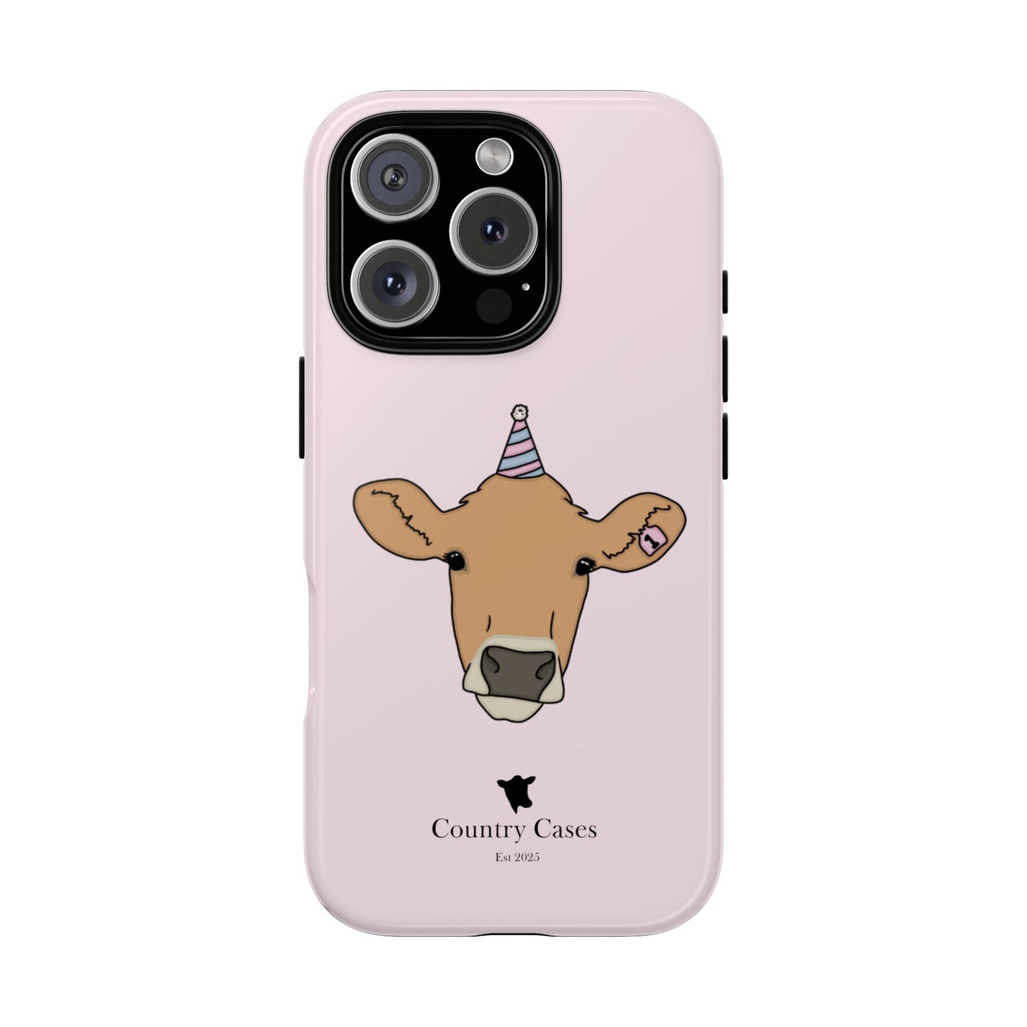 Pink Birthday Case