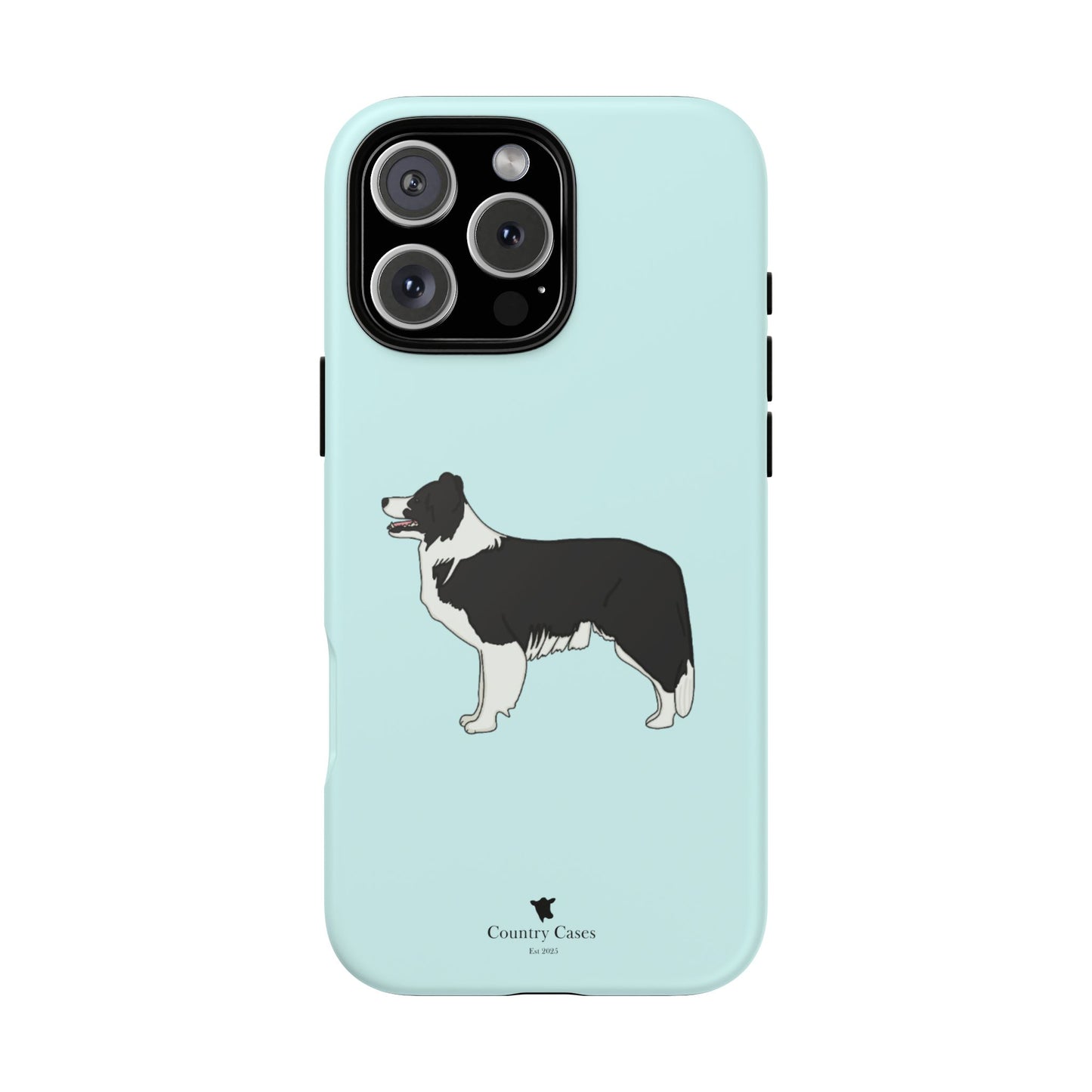 Collie case