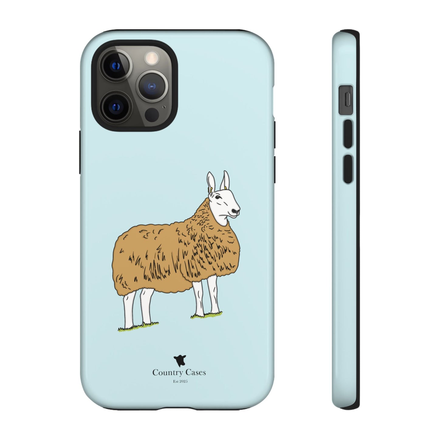 Border Leicester case