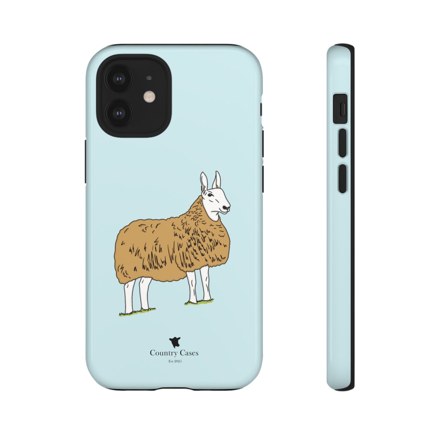 Border Leicester case