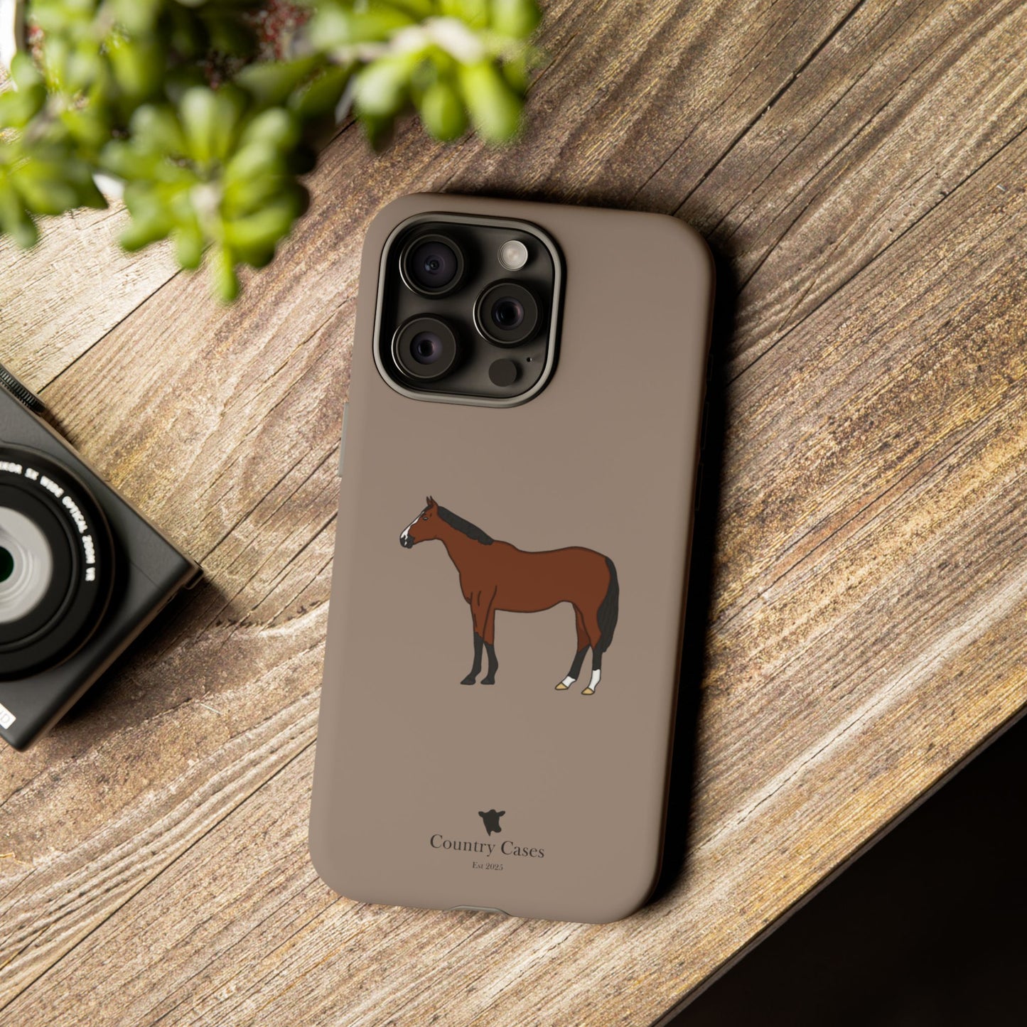 Bay horse case