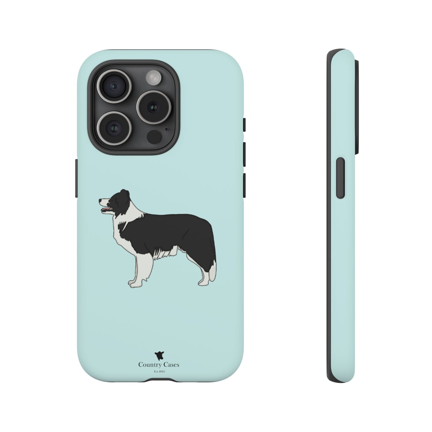 Collie case