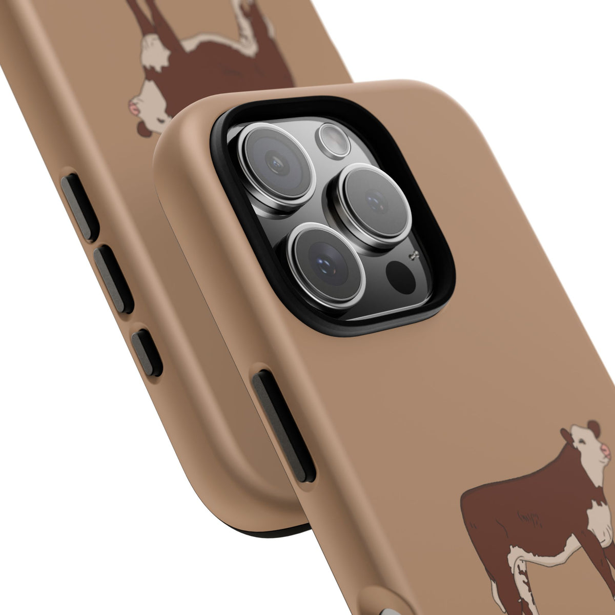 Hereford Case
