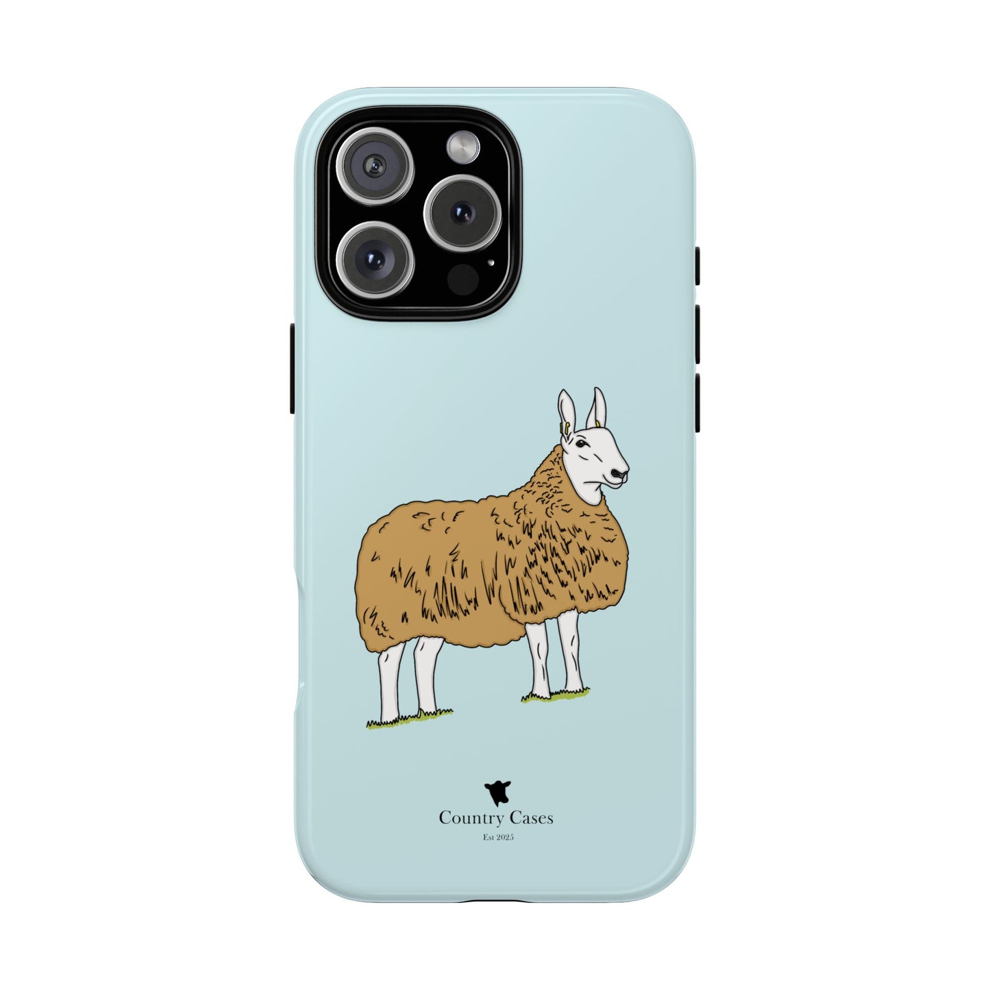 Border Leicester case