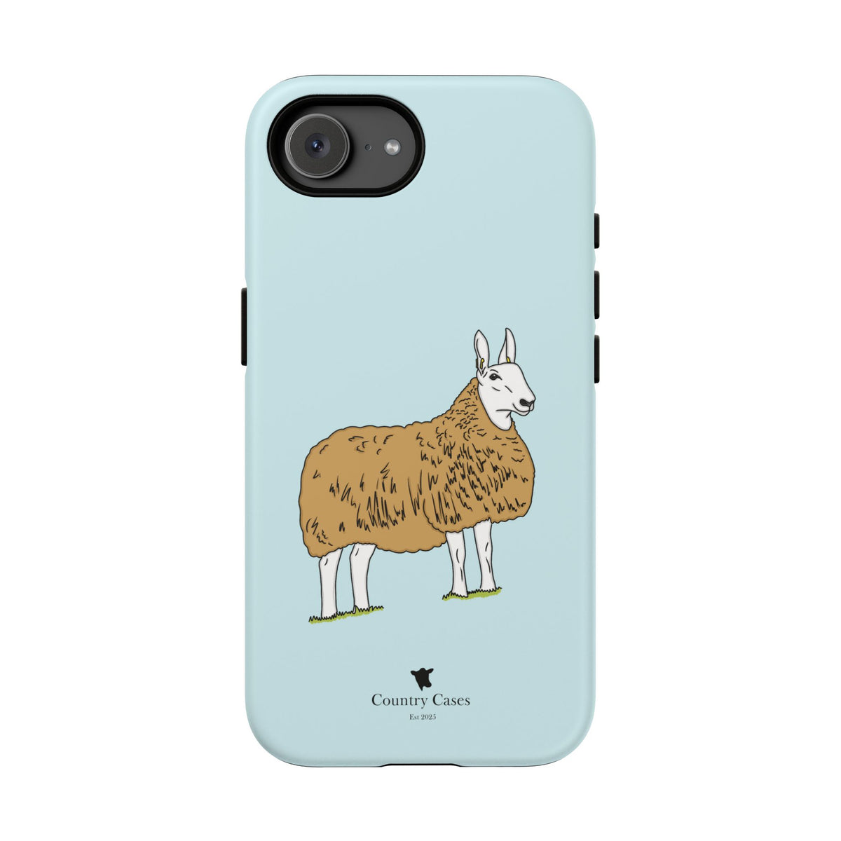 Border Leicester case