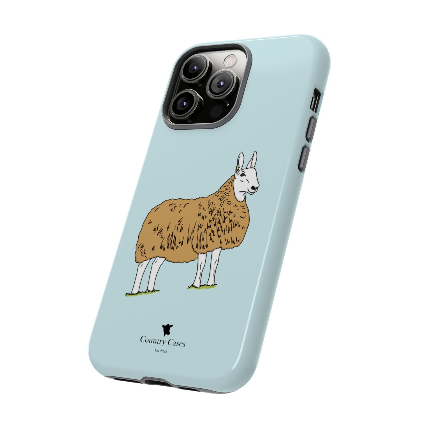 Border Leicester case