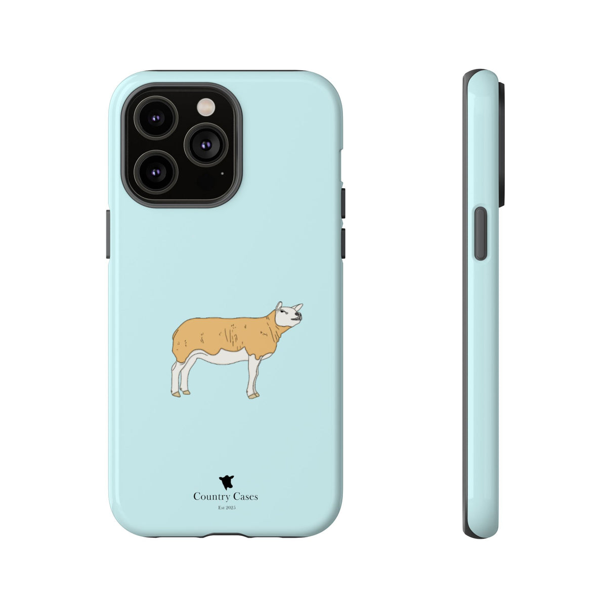 Texal Case