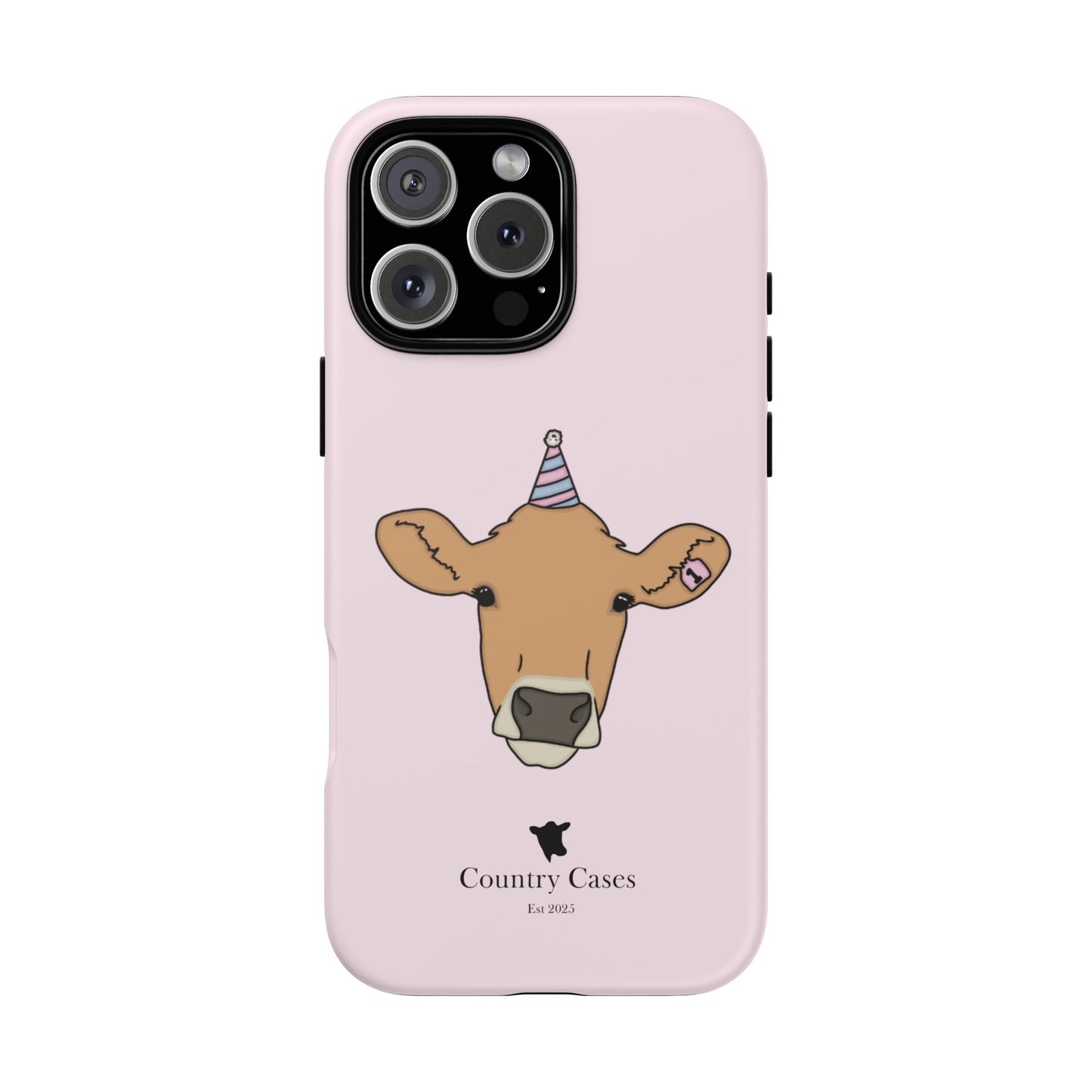 Pink Birthday Case