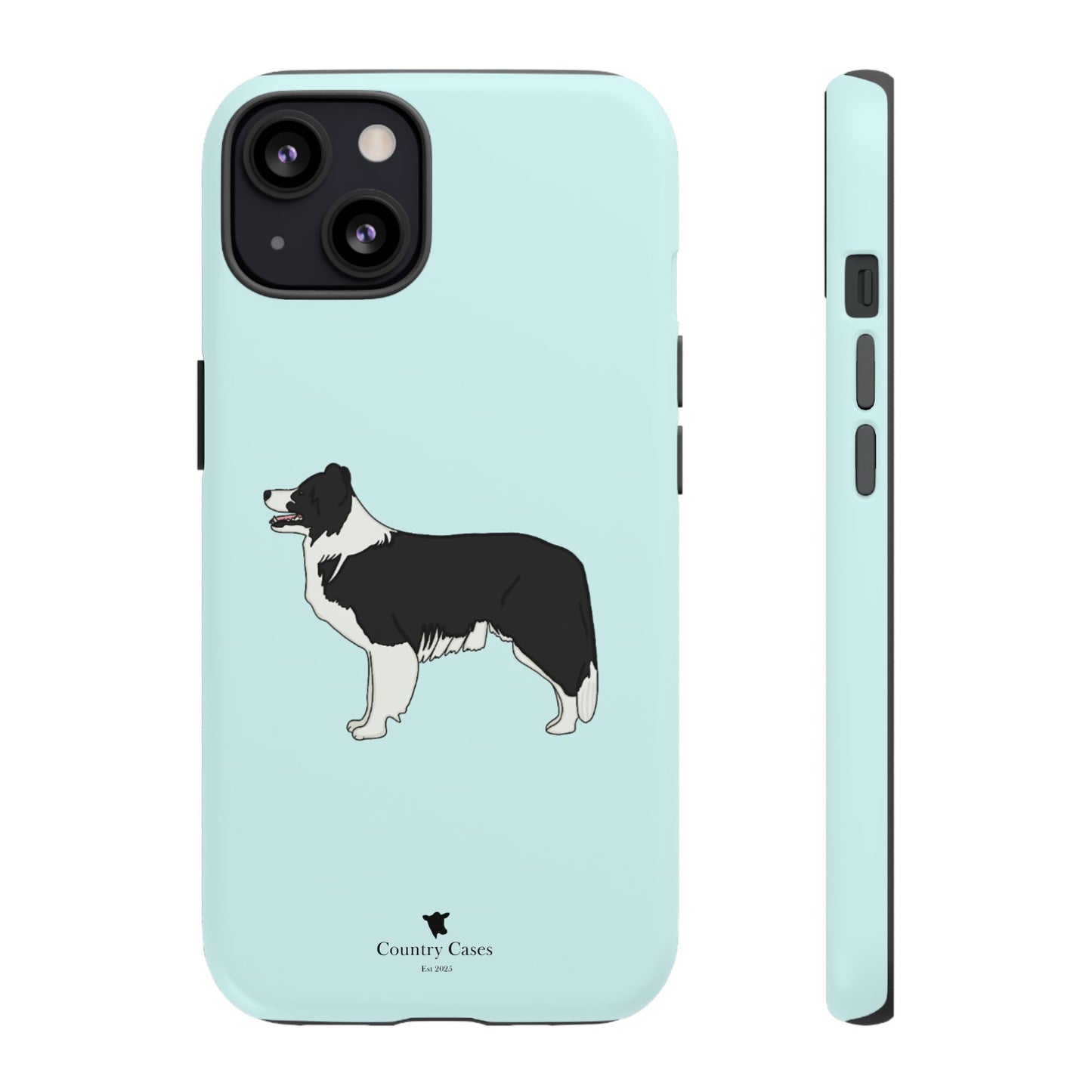 Collie case
