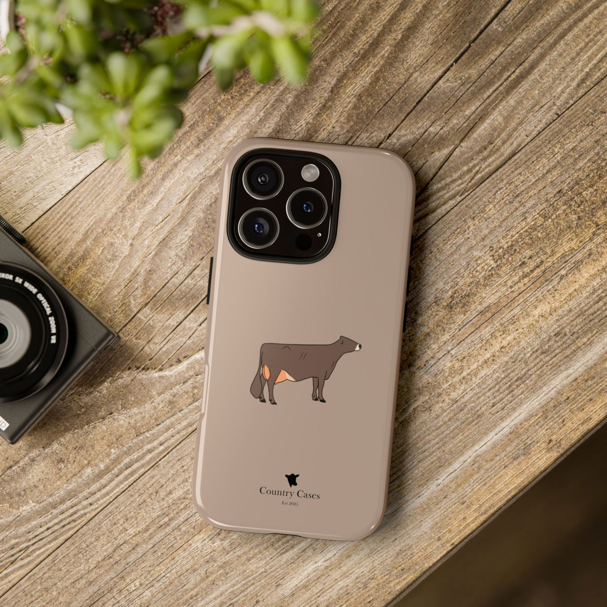 Brown Swiss Case