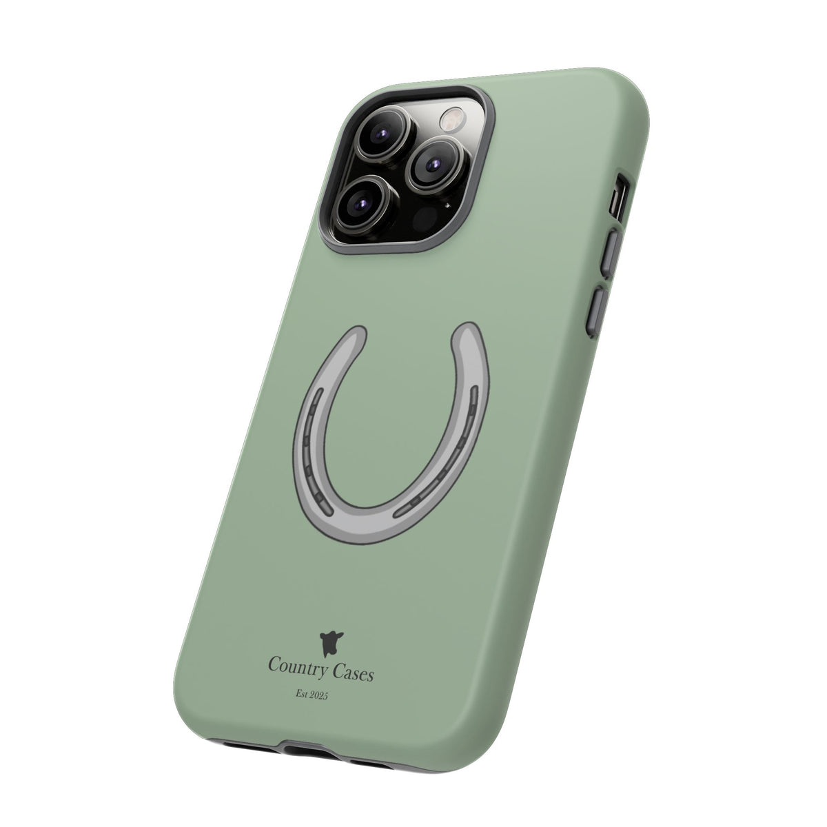 Horse Shoe Case