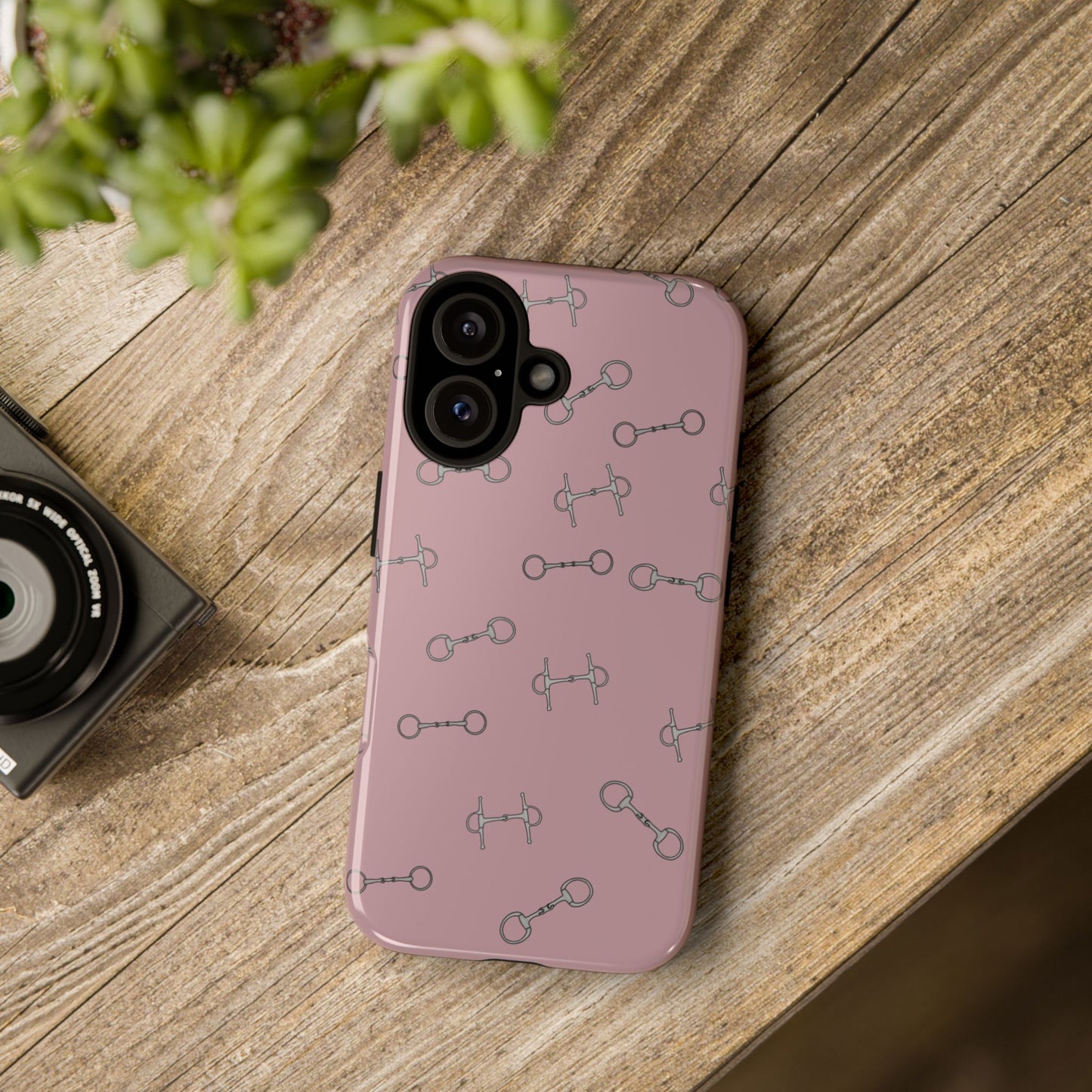 Bridleway Case