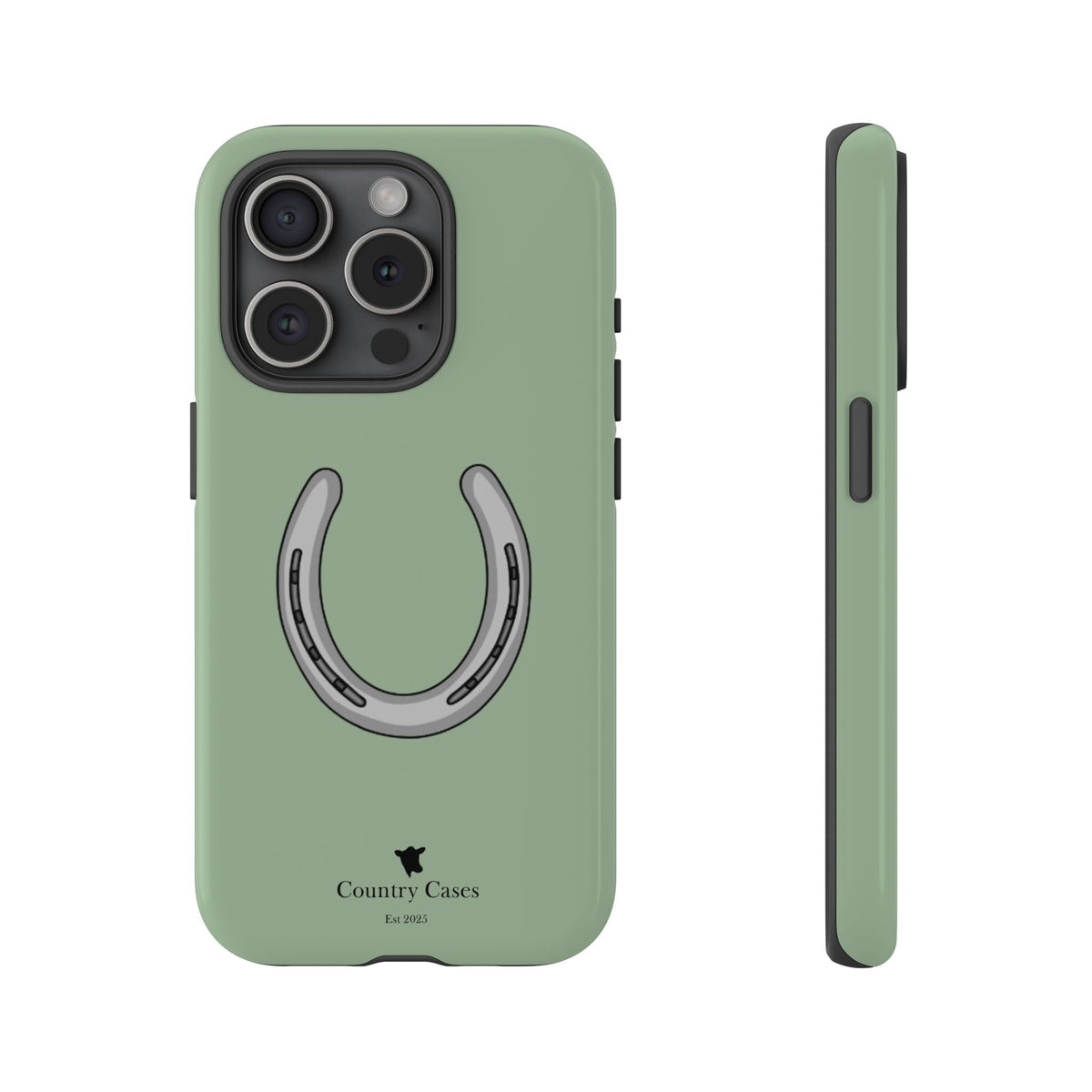 Horse Shoe Case
