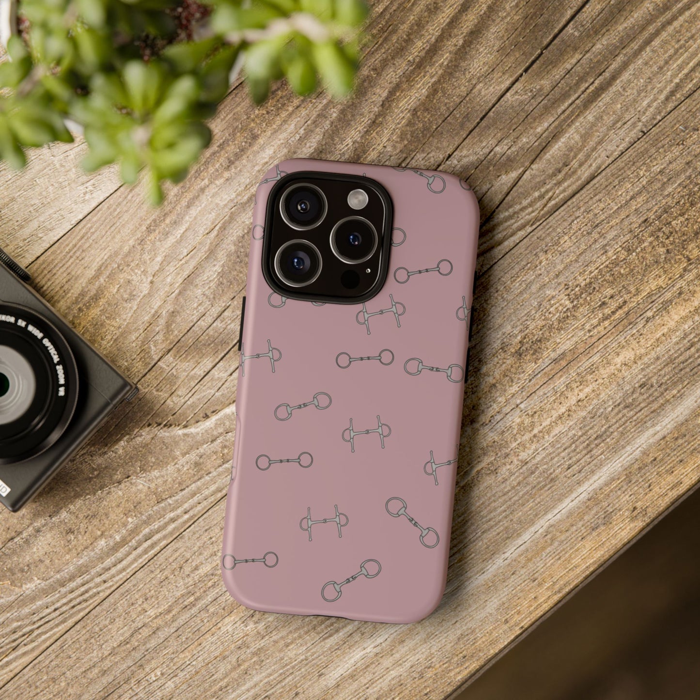 Bridleway Case