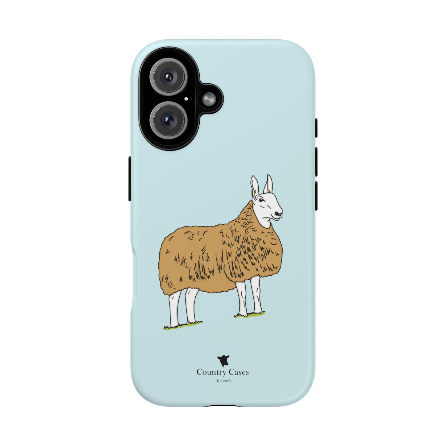 Border Leicester case
