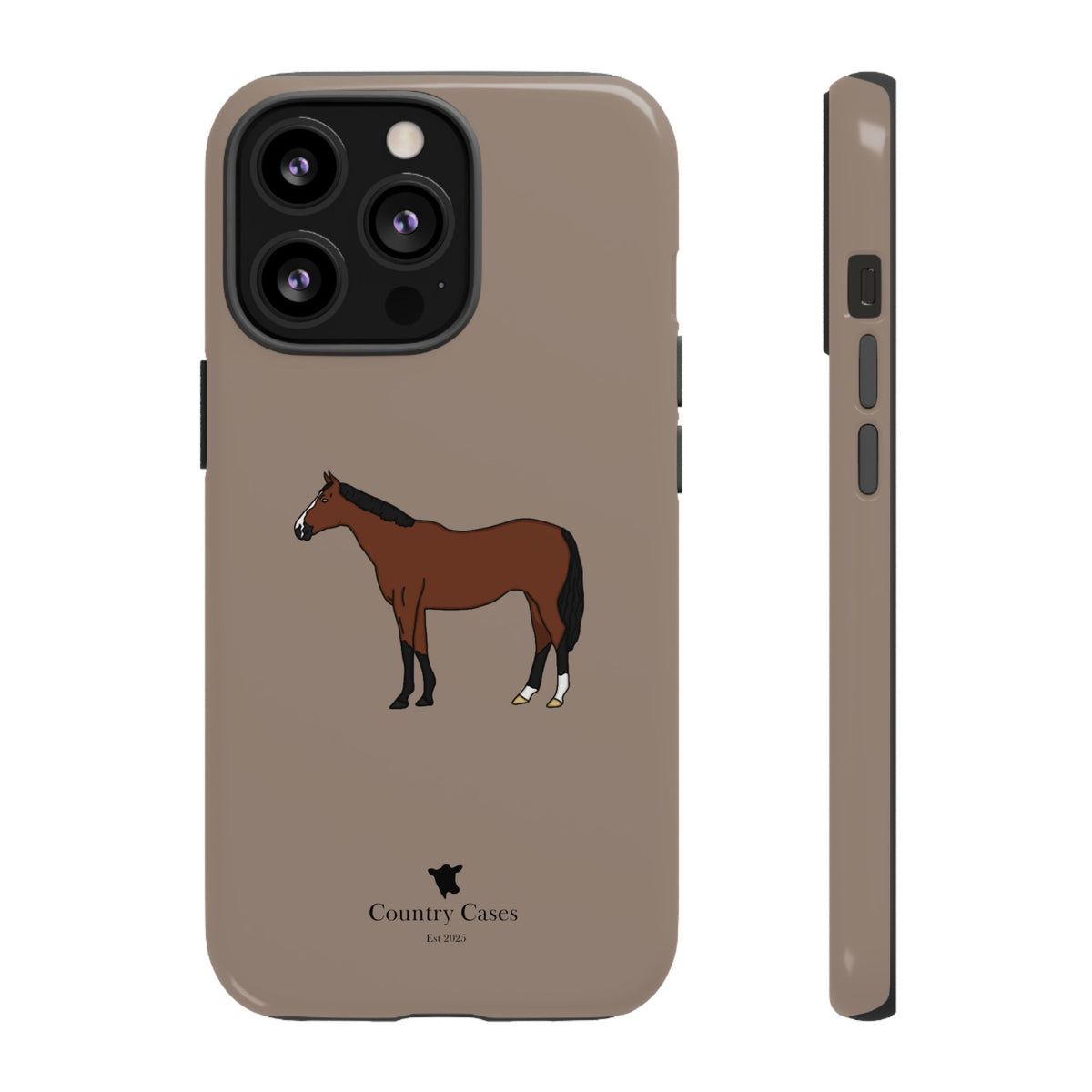 Bay Horse Case