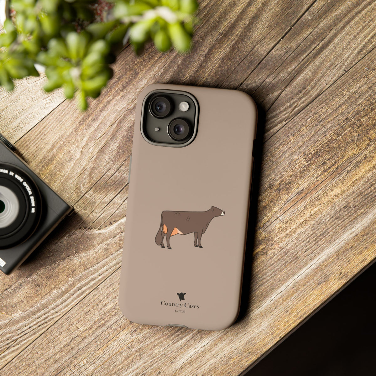 Brown Swiss Case