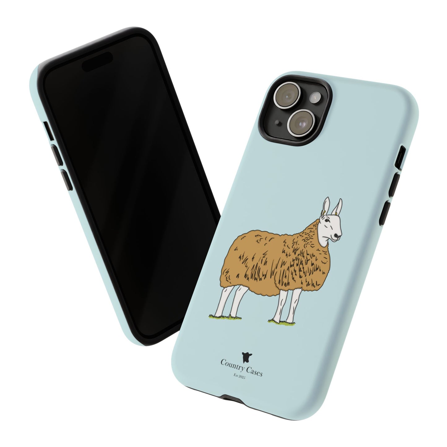 Border Leicester case