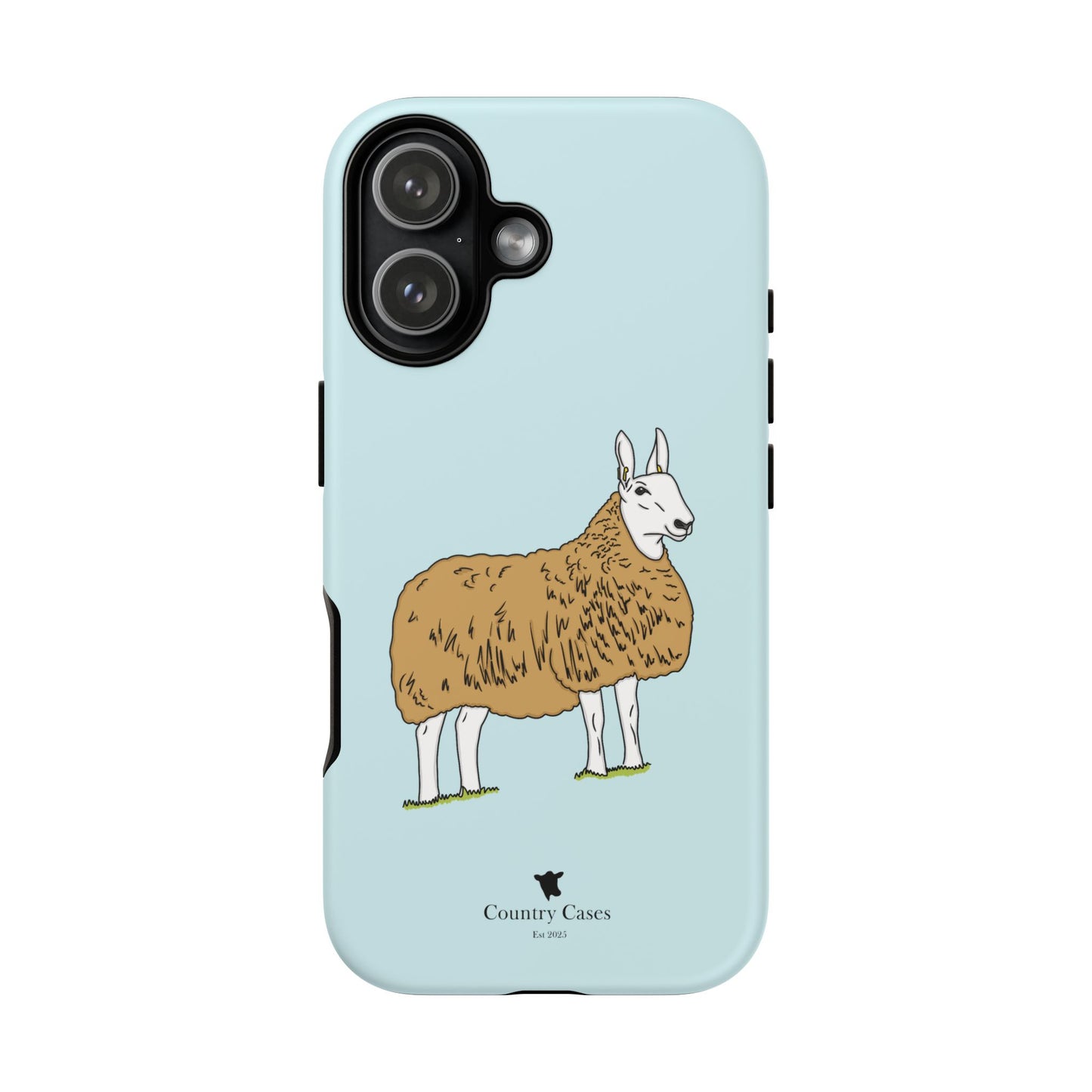 Border Leicester case