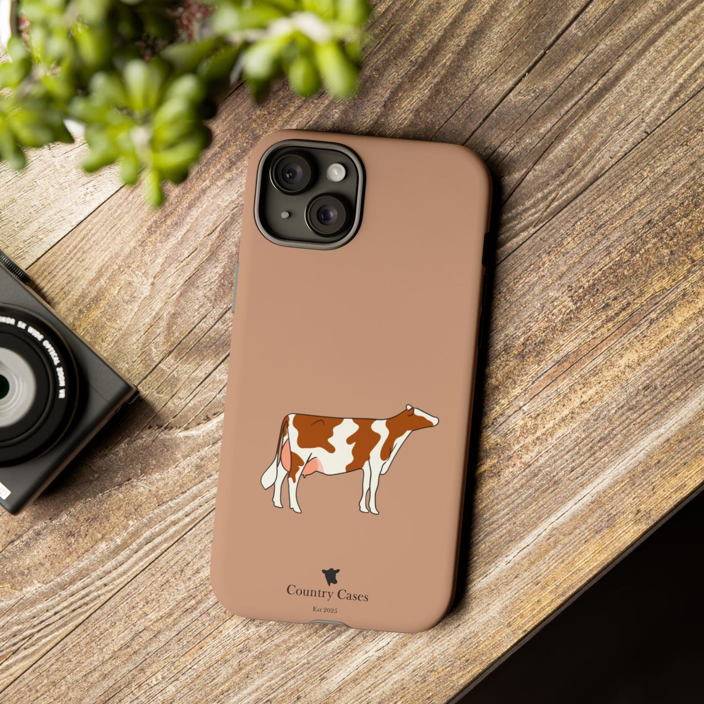 Red and white Holstein case