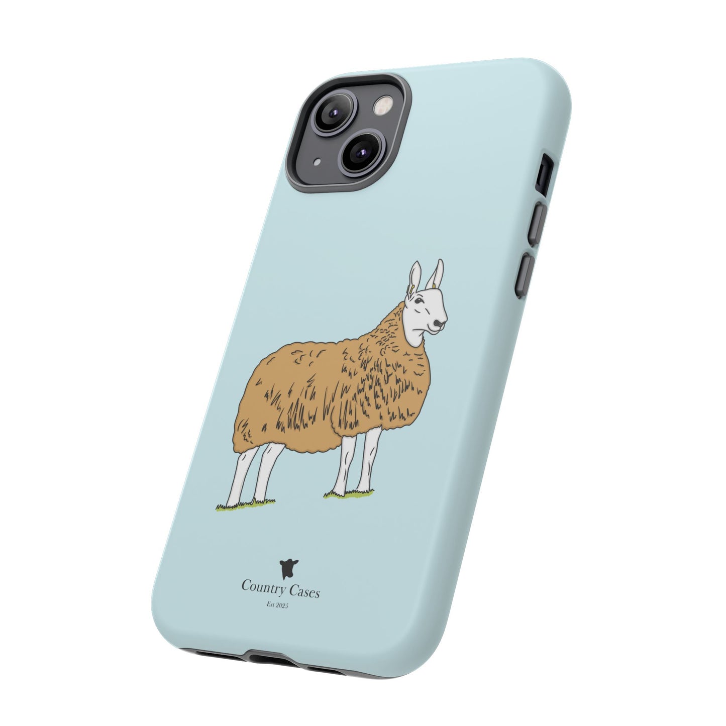 Border Leicester case