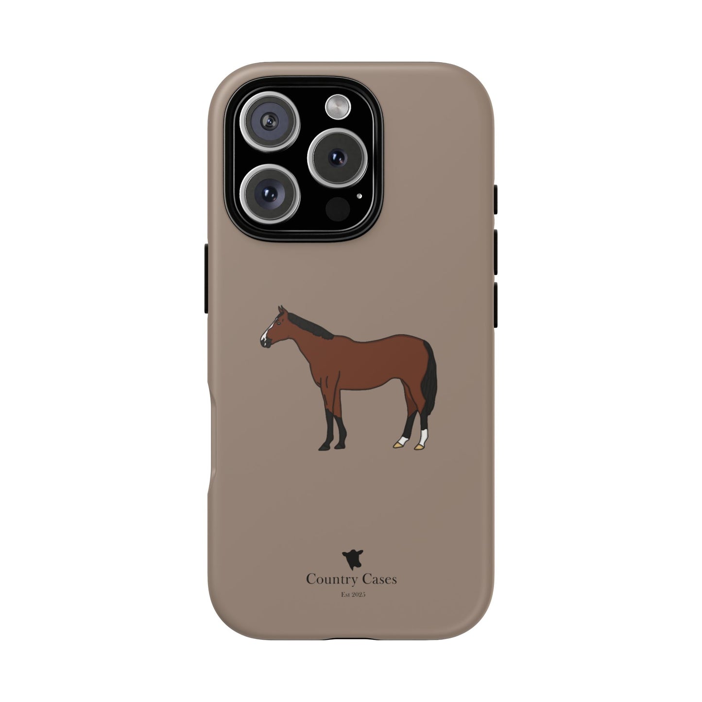 Bay horse case